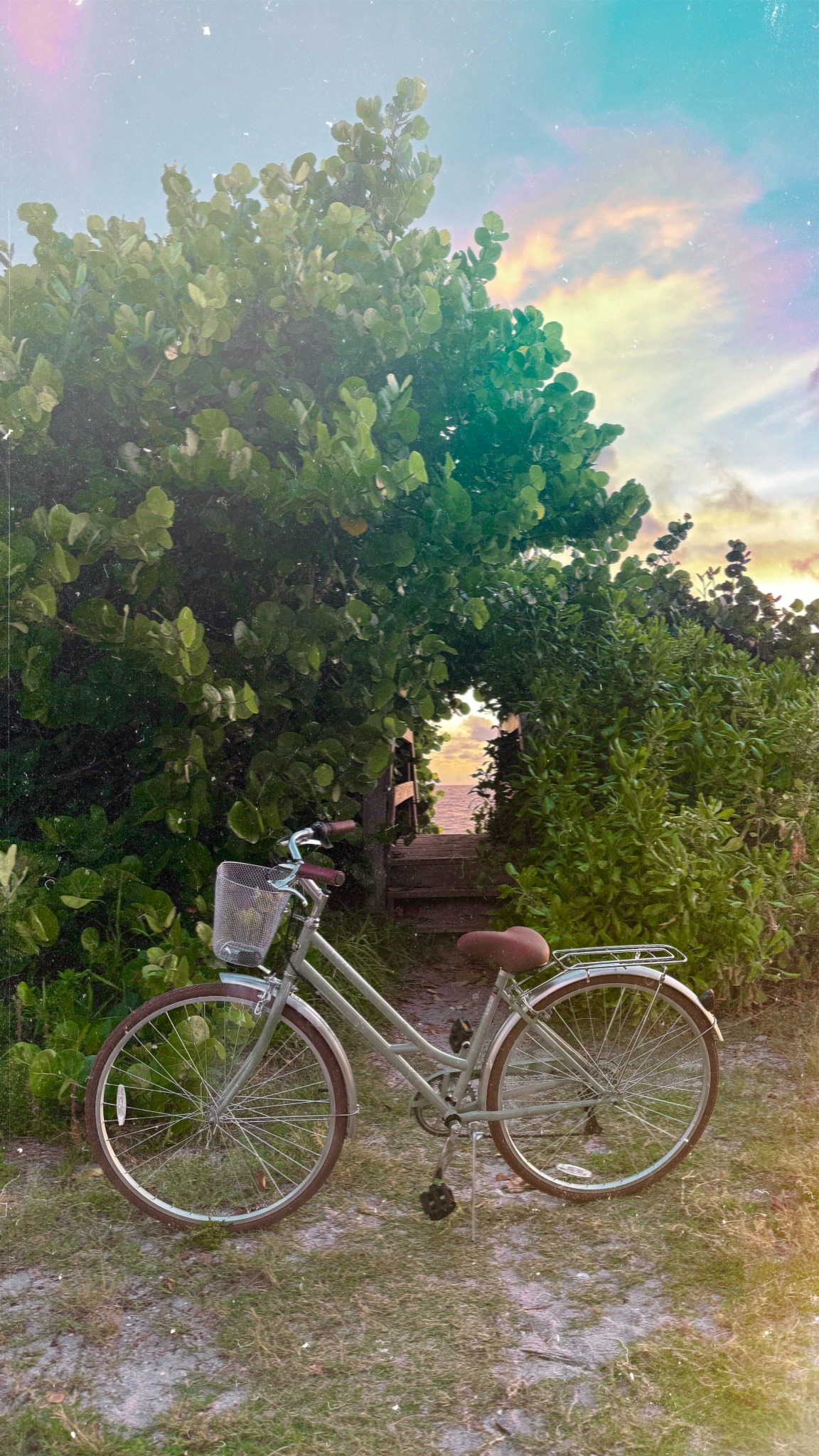 Bicycle by a beach path in Southwest Florida
